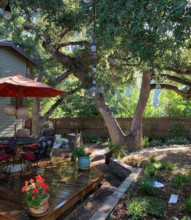 Gallery | Songbird Garden Design