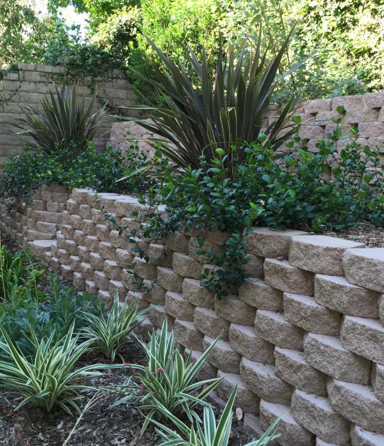 backyard with brick planters up a small hill