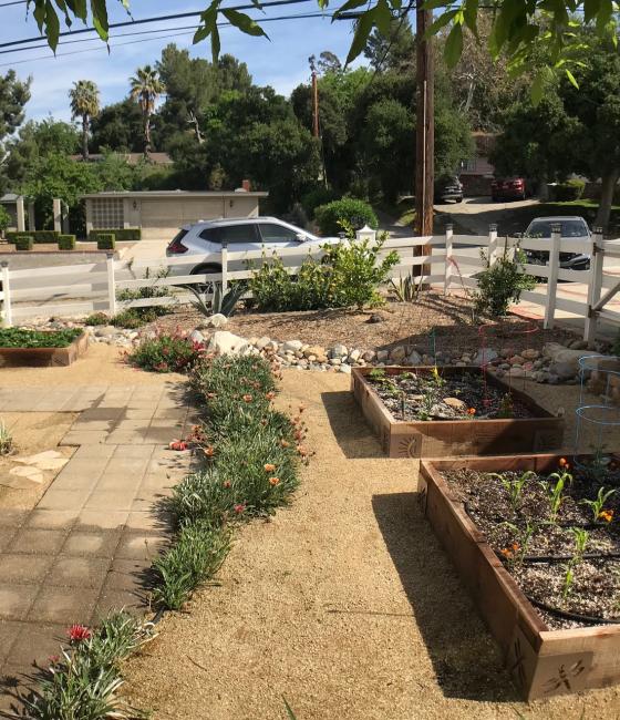 a front yard with 2 troughs full of saplings and plants lining the borders of the pathway